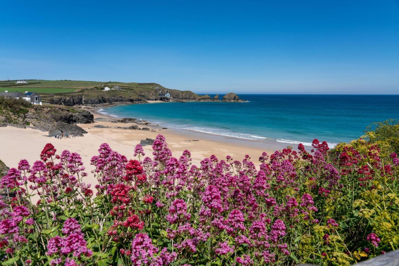 Tor View Bed and Breakfast Padstow Eksteriør billede
